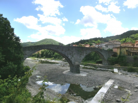 Ponte medioevale sullo Scrivia
