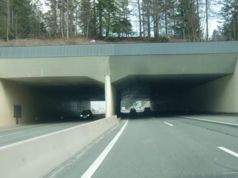 Innerwald tunnel western portals