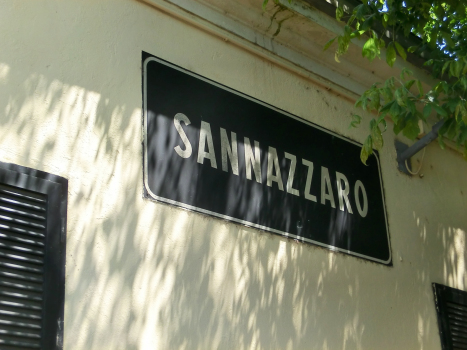 Sannazzaro Station