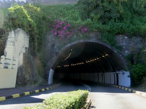 Santa Cruz Tunnel eastern portal