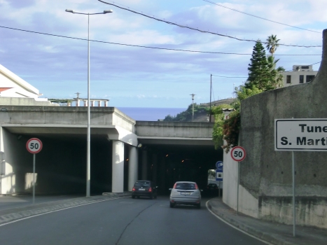 São Martinho Tunnel northern portals
