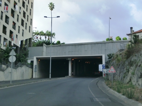 São Martinho Tunnel southern portals