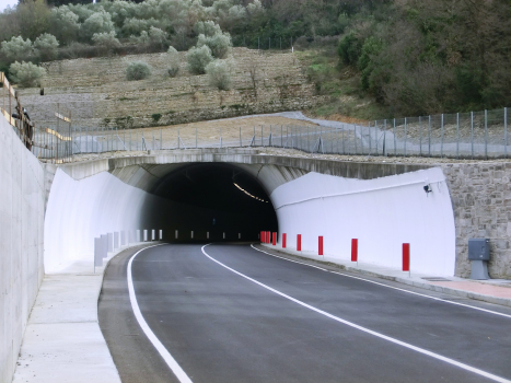 Tunnel de Colle