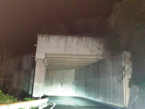 Muslone I-Tunnel