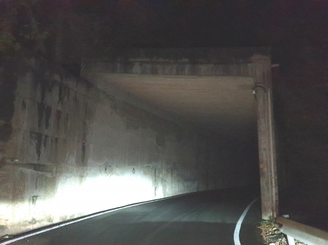 Muslone I Tunnel