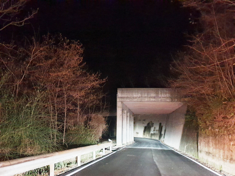 Muslone II Tunnel
