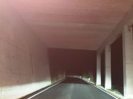 Tunnel de Muslone II