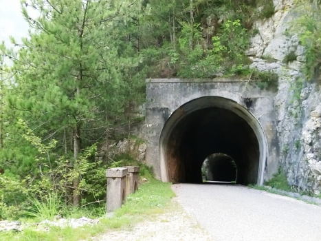 Tunnel de Chiout Micheli II