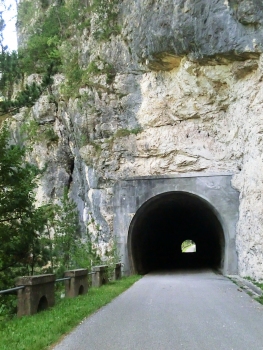 Chiout Micheli III Tunnel eastern portal