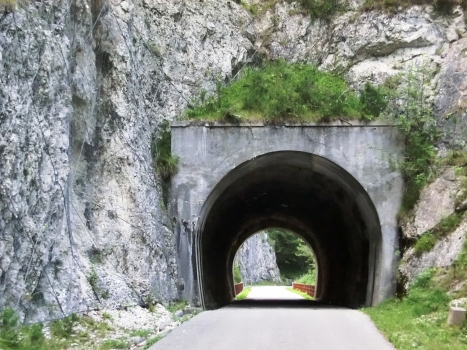 Chiout Micheli IV Tunnel western portal