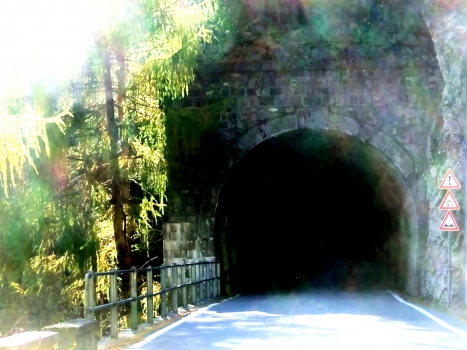 Val Lanterna IV Tunnel western portal