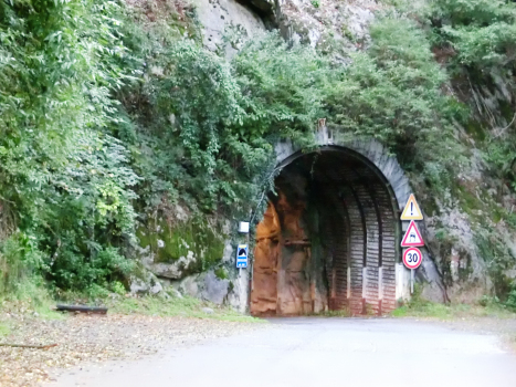 Dosso dell'Acqua Tunnel southern portal