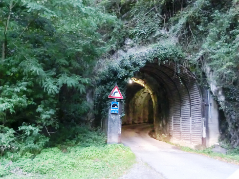 Dosso dell'Acqua Tunnel northern portal