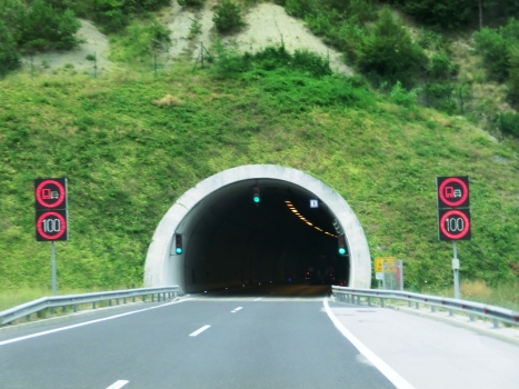 Dekani Tunnel eastern portal