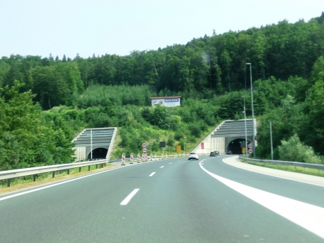 Tunnel de Golovec