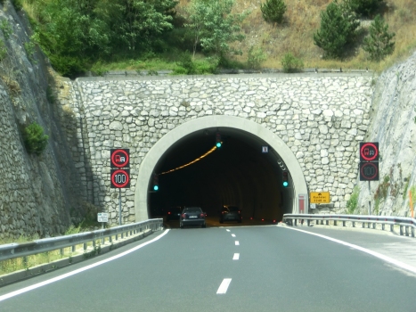 Kastelec Tunnel eastern portal