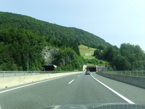 Tunnel de Ločica