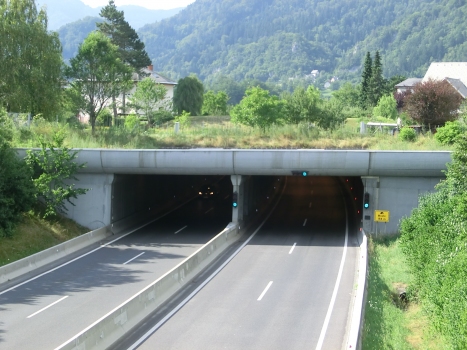 Tunnel Moste