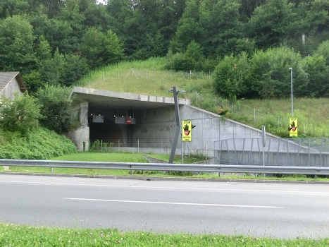 Šentvid Tunnel brench C portal