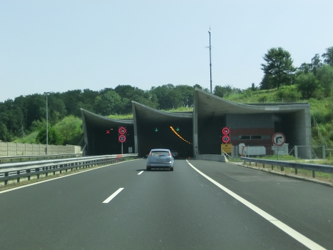 Cenkova Tunnel western portals