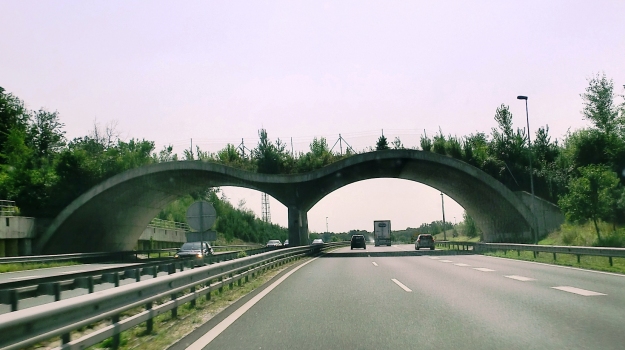 Grünbrücke Lenart