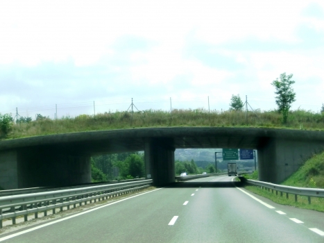 Grünbrücke Mostje