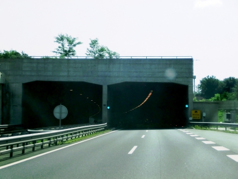 Močna Tunnel western portals