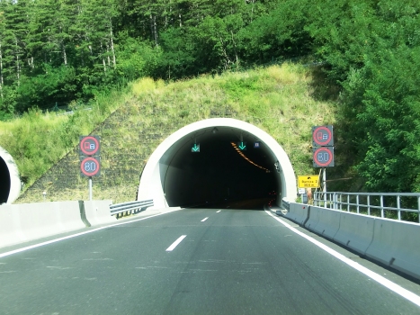Barnica 2 Tunnel eastern portals