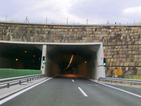 Skofije Tunnel northern portal