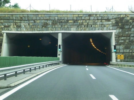 Skofije Tunnel southern portals
