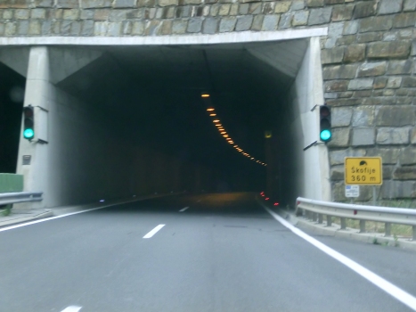 Skofije Tunnel southern portals