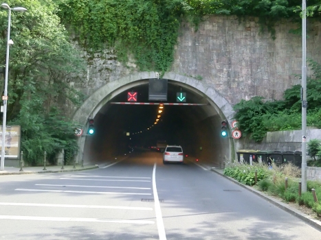 Tunnel du château de Ljubljana