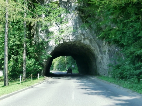 Bled Tunnel: Western Portal