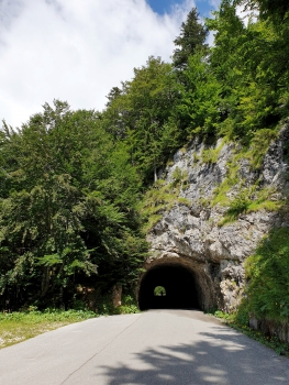 Mangrt I Tunnel southern portal