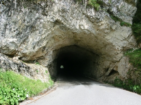 Tunnel Mangart IV