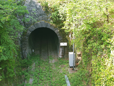 Tunnel Dol