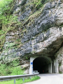 Carbonere Tunnel northern portal