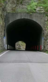Carbonere Tunnel southern portal