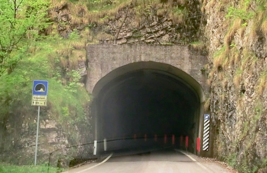 Cogolani Tunnel northern portal