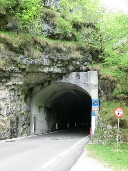 Cogolani Tunnel southern portal