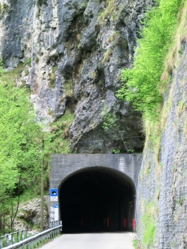 Costa Tunnel northern portal