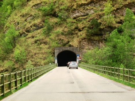 Tunnel de Falcina