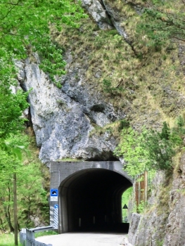 Mioi Tunnel northern portal