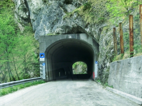 Mioi Tunnel northern portal
