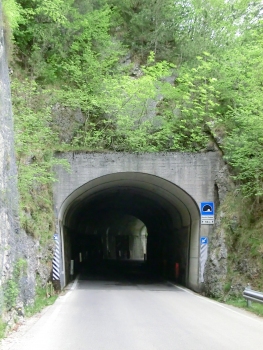 Tunnel Pian dei Fiabane