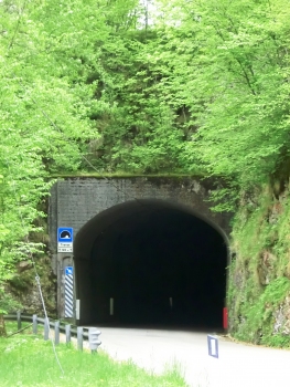 Tranze Tunnel northern portal
