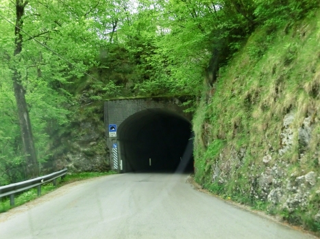 Tranze Tunnel northern portal
