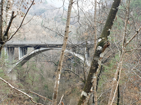Valle Caminaia Bridge