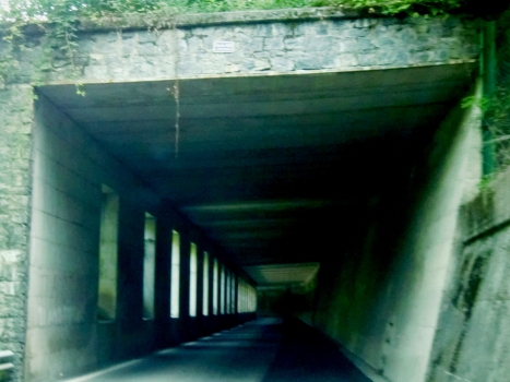 Tunnel Valmasino