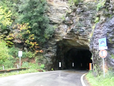 Cerretella Tunnel southern portal